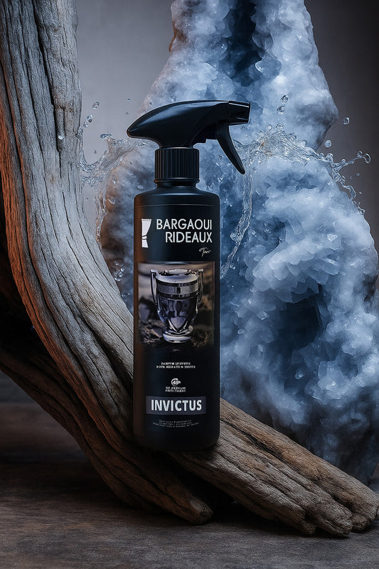 Parfum d'Ambiance Invictus 500 mL